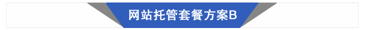 網(wǎng)站托管套餐 
