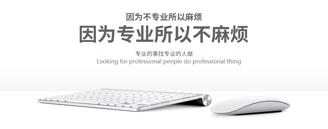 專(zhuān)業(yè)門(mén)戶(hù)網(wǎng)站建設(shè)